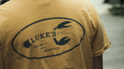 lukes gif